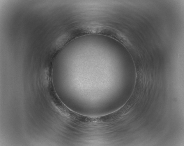 X0000065250594200602171430