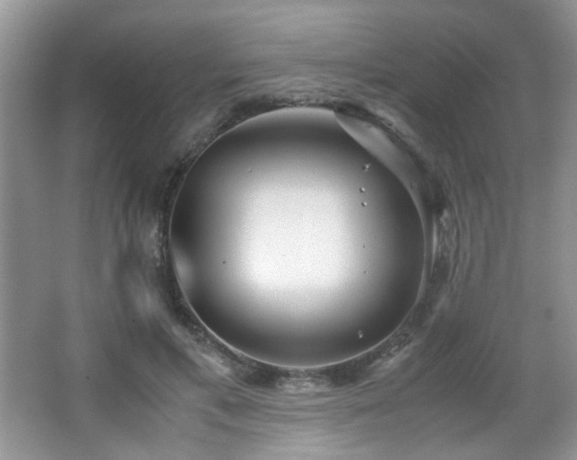 X0000065250597200602171430