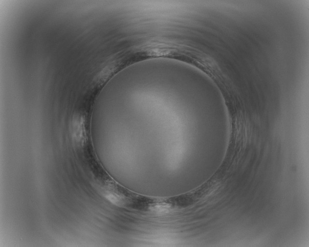 X0000065250598200602171430