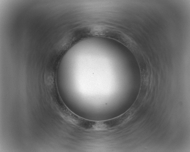 X0000065250603200602171430