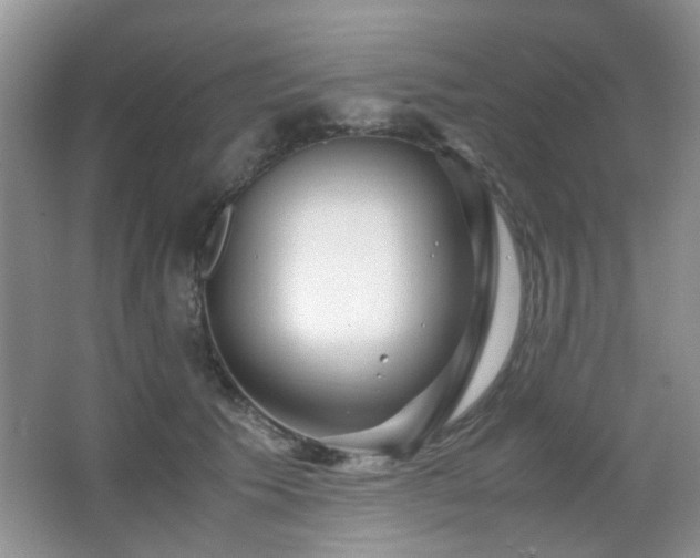 X0000065250609200602171430