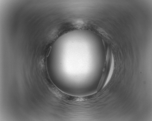 X0000065250611200602171429