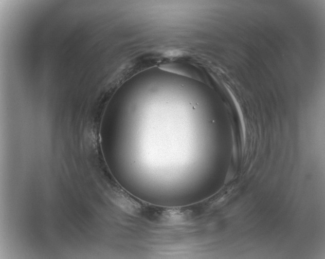 X0000065250613200602171429