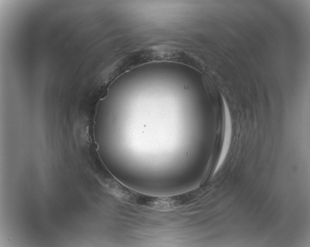 X0000065250615200602171429