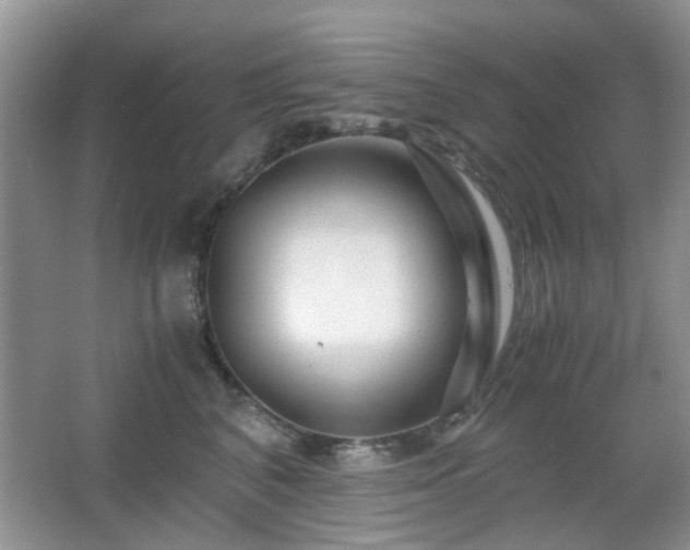 X0000065250616200602171429