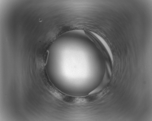 X0000065250617200602171429