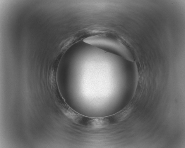 X0000065250623200602171429