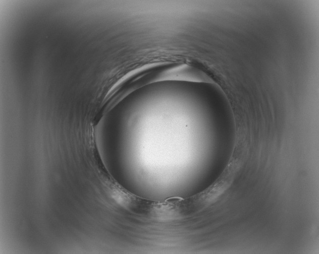 X0000065250624200602171429