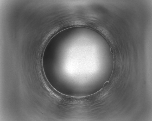 X0000065250625200602171428