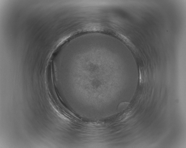 X0000065250627200602171428