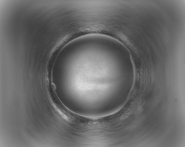 X0000065250634200602171429