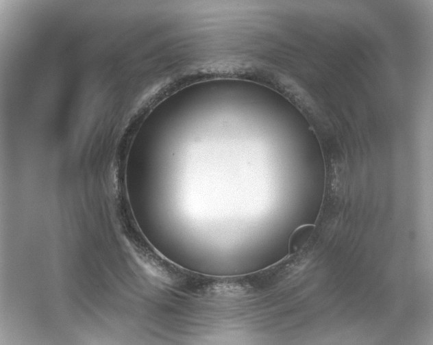 X0000065250636200602171429