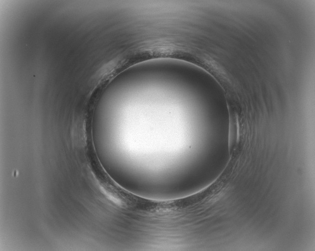 X0000065250638200602171429