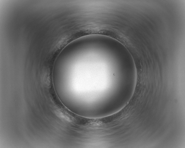 X0000065250642200602171429