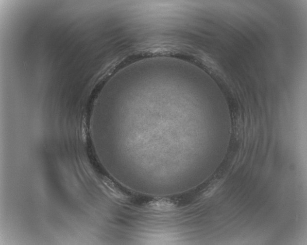 X0000065250644200602171429
