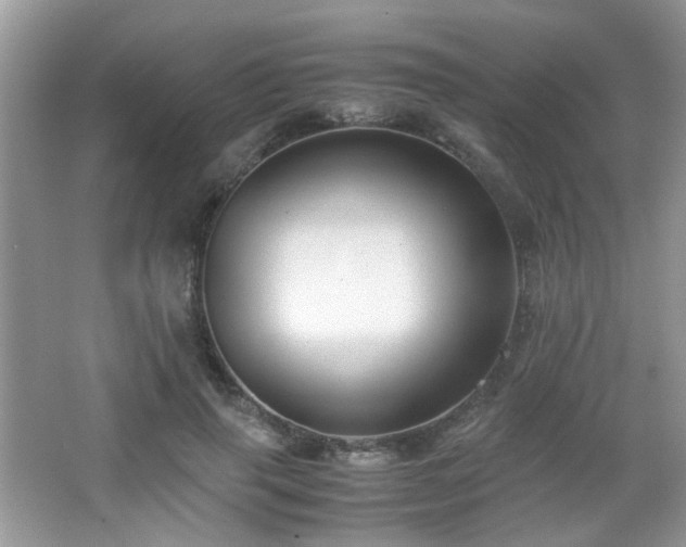 X0000065250645200602171429