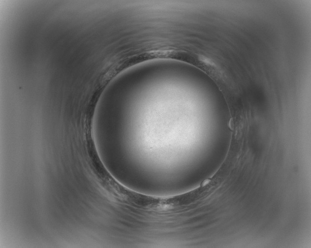 X0000065250647200602171429
