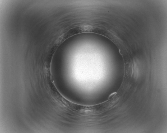 X0000065250655200602171429