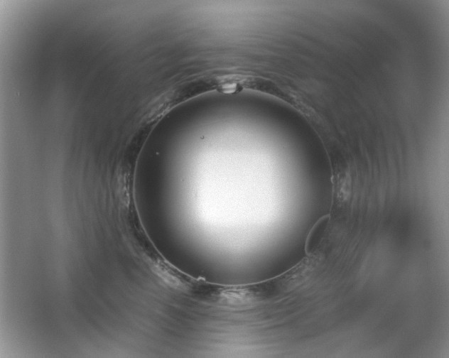 X0000065250666200602171429