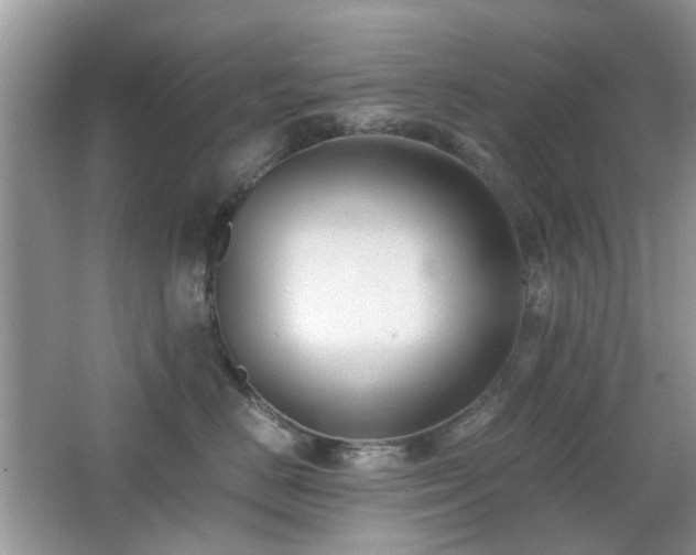 X0000065250670200602171429