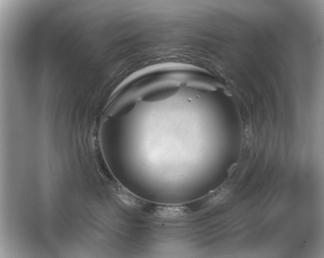 X0000065250671200602171429