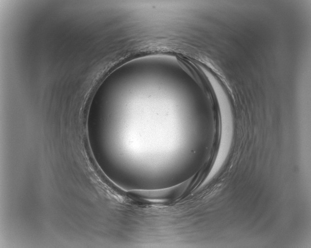 X0000065250673200602171428
