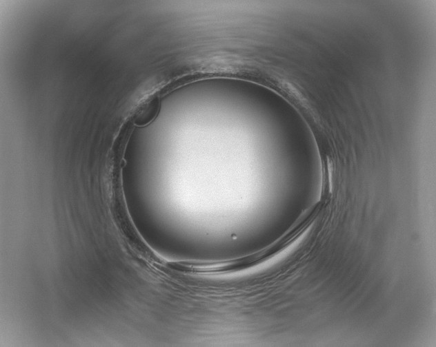 X0000065250675200602171428
