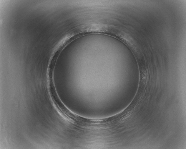 X0000065250678200602171428