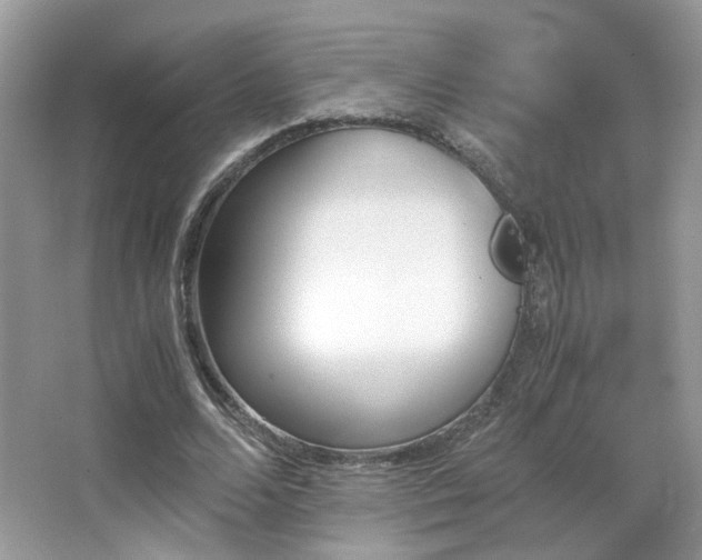 X0000065250680200602171428