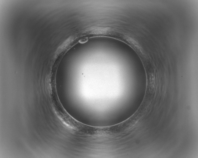 X0000065250682200602171428