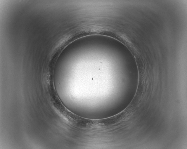 X0000065250683200602171428