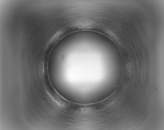 X0000065250686200602171428
