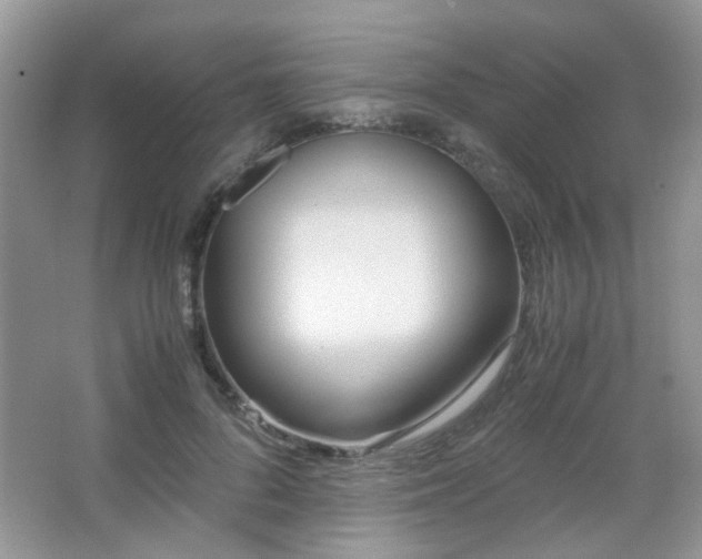 X0000065250696200602171428