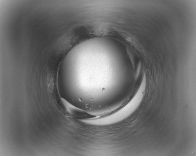 X0000065250697200602171428