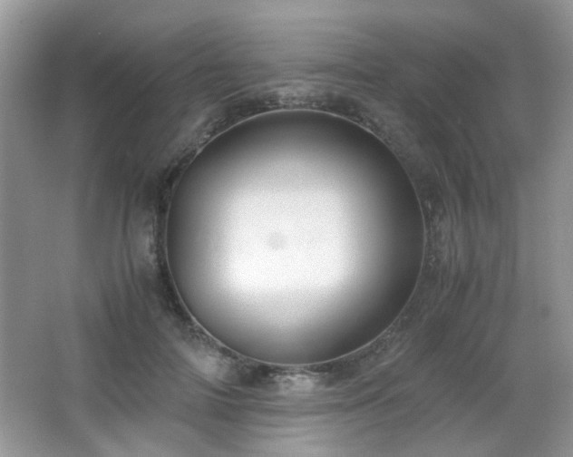 X0000065250698200602171428