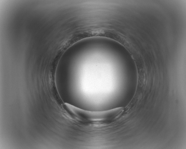 X0000065250704200602171428