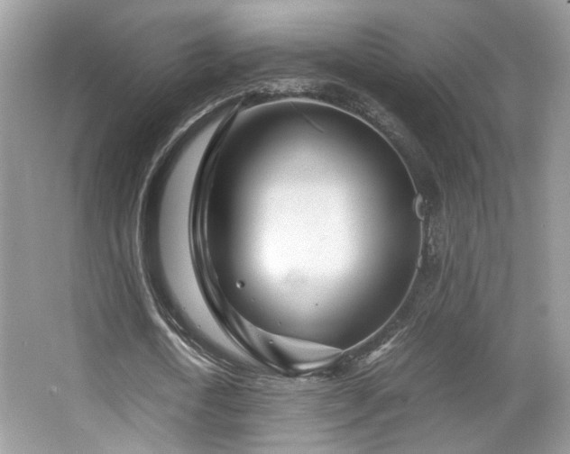 X0000065250722200602171427
