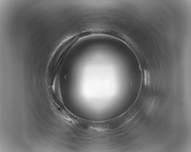 X0000065250723200602171427