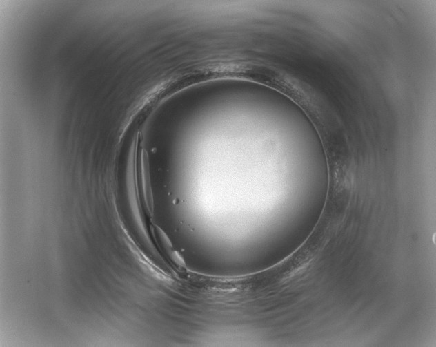 X0000065250725200602171427