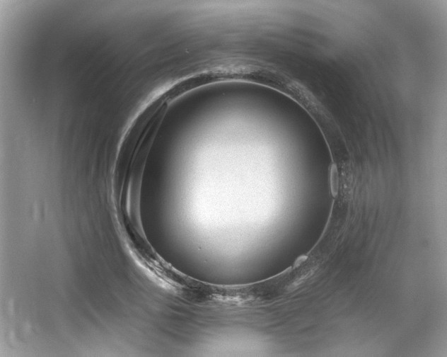 X0000065250726200602171427