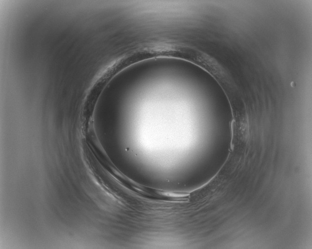 X0000065250732200602171427