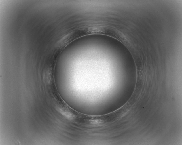 X0000065250741200602171427