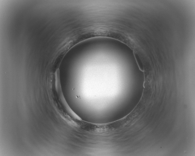 X0000065250744200602171427