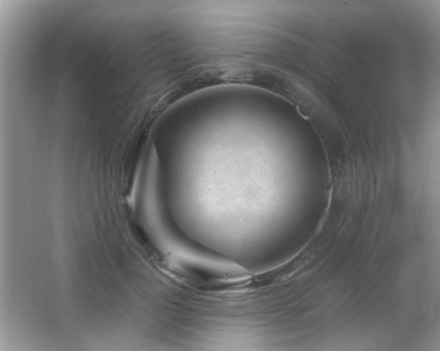 X0000065250748200602171427