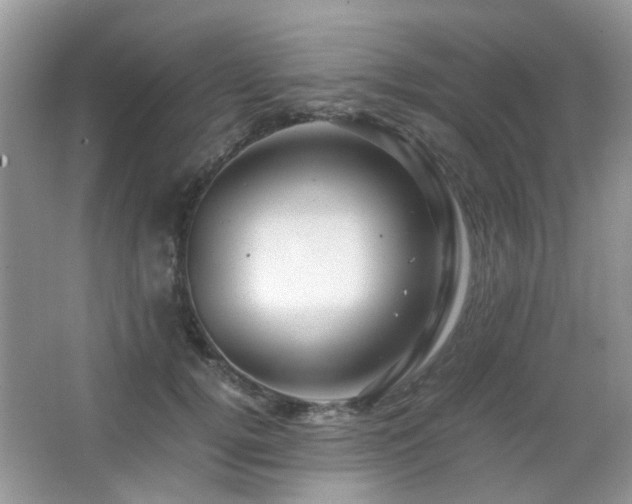 X0000065250752200602171427