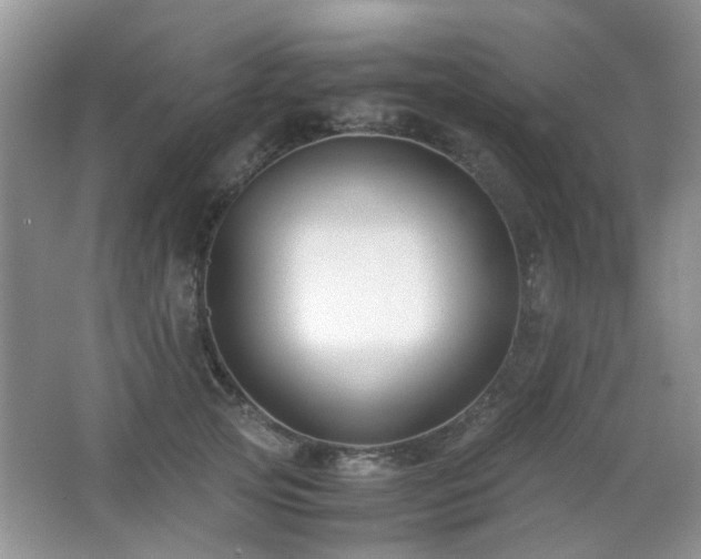X0000065250753200602171427