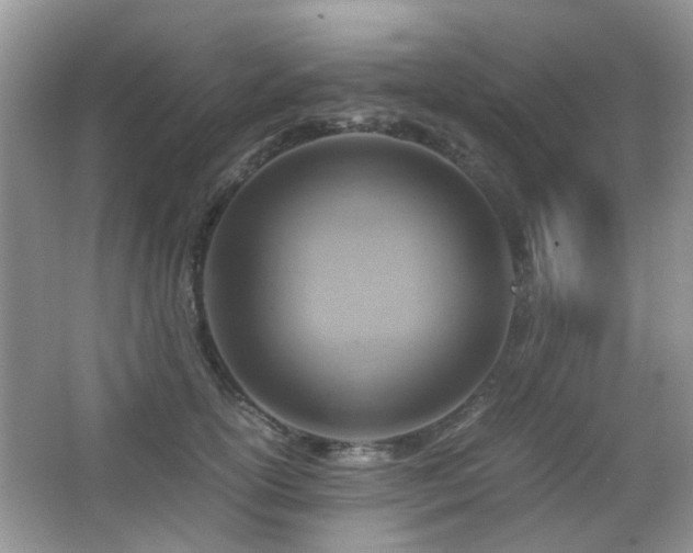 X0000065250754200602171427