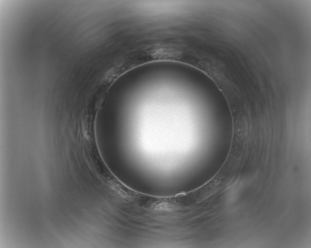 X0000065250755200602171427