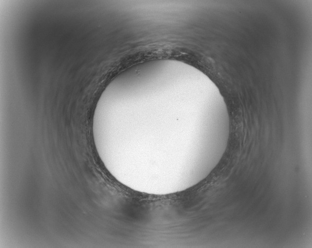 X0000065250769200602171427