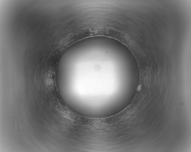 X0000065250770200602171427